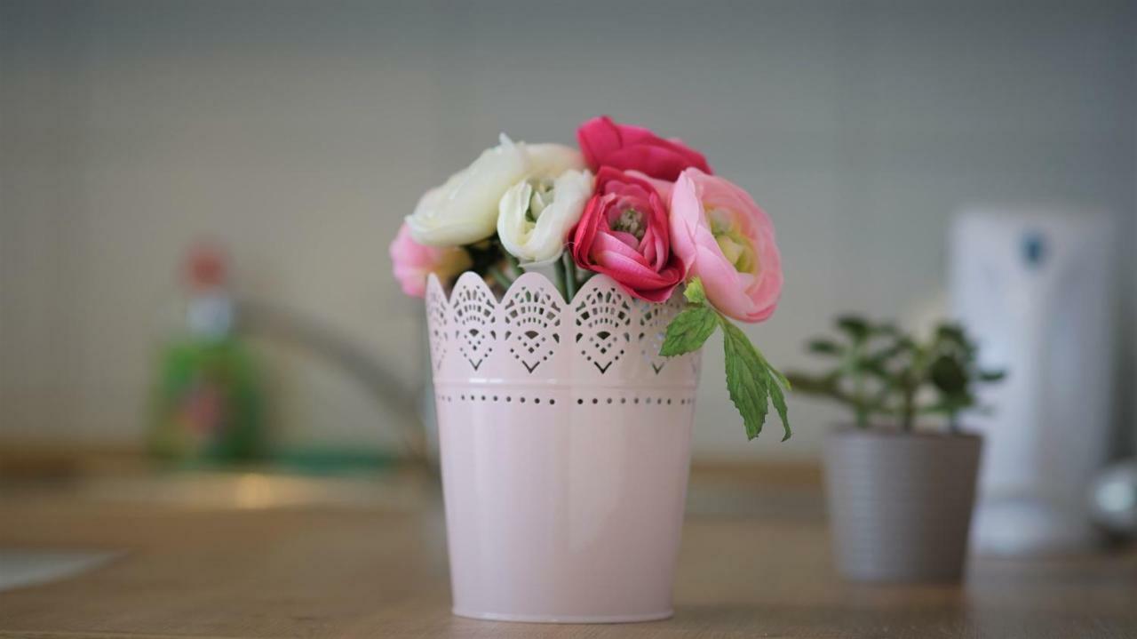 Dolce Vita Apartment 자다르 외부 사진